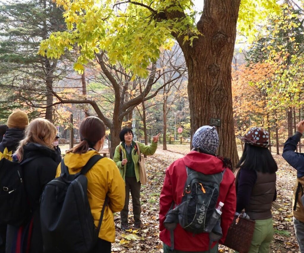 北海道旅行観光 ATガイド・通訳案内士 英語de札幌散歩 M'sEnglish馬上千恵 円山公園樹木ツアー