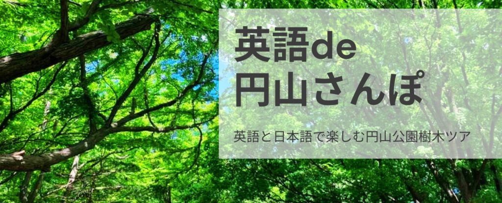 北海道旅行観光 ATガイド・通訳案内士 英語de札幌散歩 M'sEnglish馬上千恵 円山公園樹木ツアー